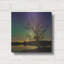 «Tree Under Aurora Borealis» par Epic Portfolio, art mural en métal, 12 po x 12 po-970176644