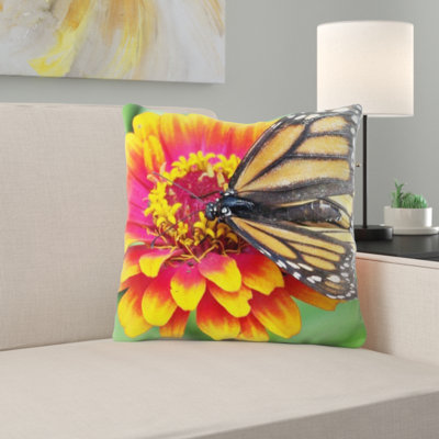 Coussin monarch