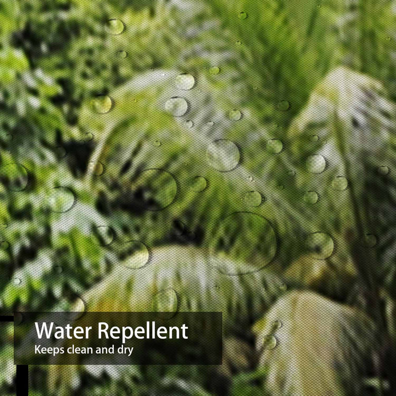 Rideau de douche à 12 crochets Tropical Forest Island, 72" L x 72" W