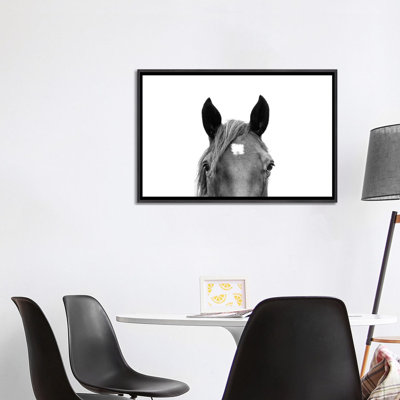 Peeking Horse In Black & White by Sisi & Seb - Photograph Print