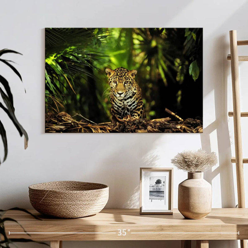 Jaguar de la jungle du Belize Brampt, H 16 po x l 24 po
