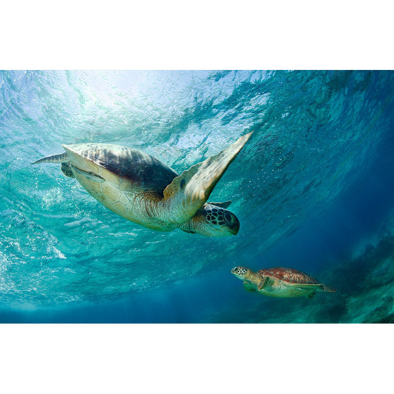 Wrapped Canvas Print, 76.2 cm H x 50.8 cm W