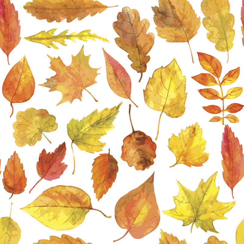 Feuilles d'automne à l'aquarelle, H 12 po x l 12 po