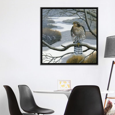 «Hawk in a Tree», impression sur toile