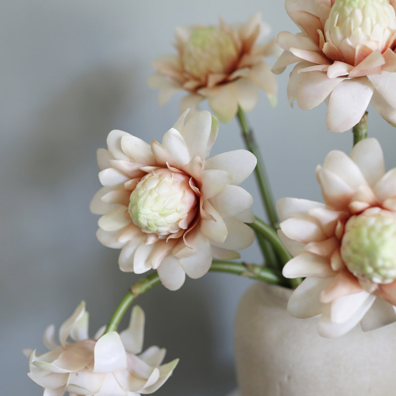 Waratah Protea Faux Floral, Pink, 31" H x 6" W