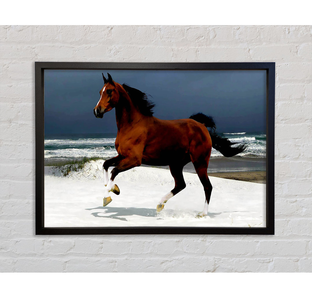 Ocean Horse Beauty - Einzelner Bilderrahmen Kunstdrucke auf Leinwand