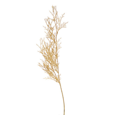 Cedar Arrangement