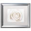 « white rose », reproduction de photo sur toile encadrée-32707924-32707919