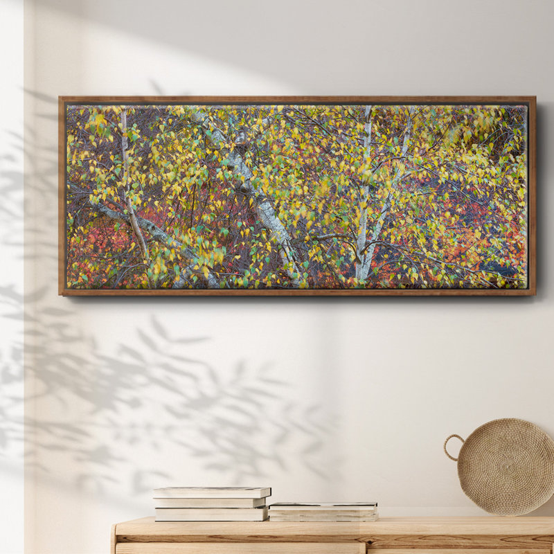 Tree Panorama IV- Framed Canvas, 20" H x 50" W