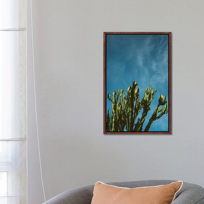 Cactus Sky by Bethany Young - Print on Canvas, Classic Brown Wood Framed, 66.04cm H x 45.72cm W x 3.81cm D