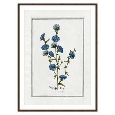 Colombe "Soft Botanical I" Print