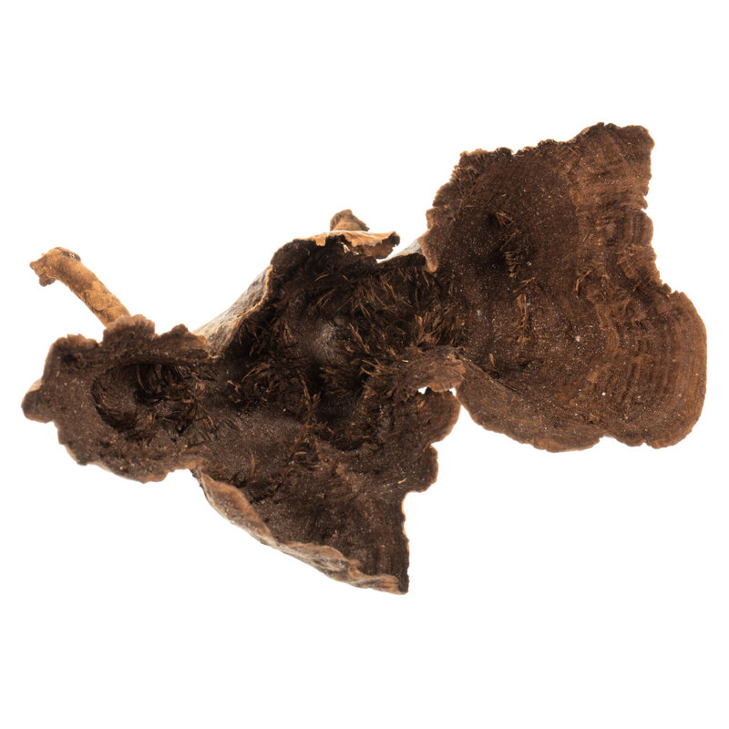 Vickerman 3-10" Natural Calice Multipiece Specimens, approximately 100 multi piece units, Dried
