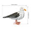 Statue Roepke Seagull