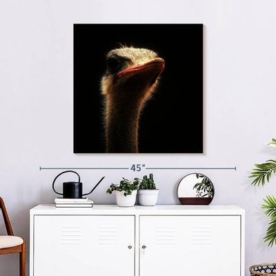 Crowle Gallant Ostrich