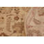 Baggio Wool Oriental Rug