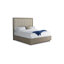 Palmer Upholstered Standard 2 Piece Bedroom Set-61170501-61170504