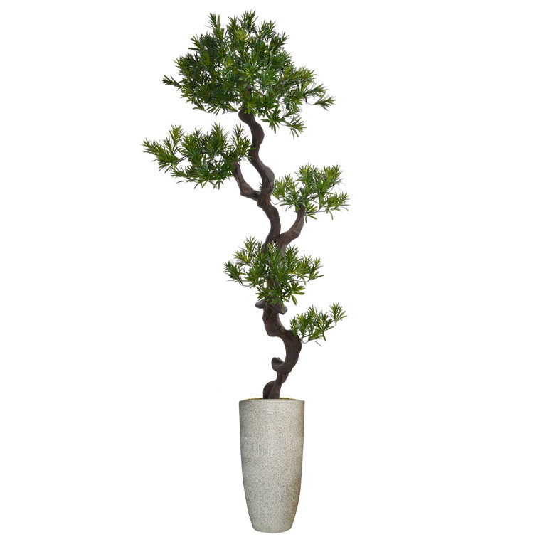 72'' Faux Bonsai Tree in Fiberstone Planter