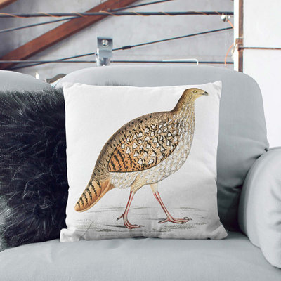 Pheasant Illustration by John Edward Gray Cushion with Filling