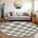 Colzie Gingham Indoor / Outdoor Rug