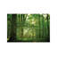 1 Piece Wrapped Canvas Wall Art-29383044-101415983
