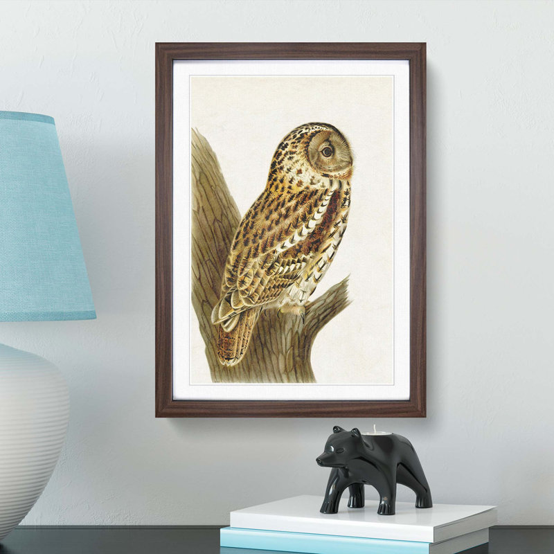Tawny Owl by Von Wright - Picture Frame Art Print, Walnut Framed, 36cm H x 27cm W x 2cm D