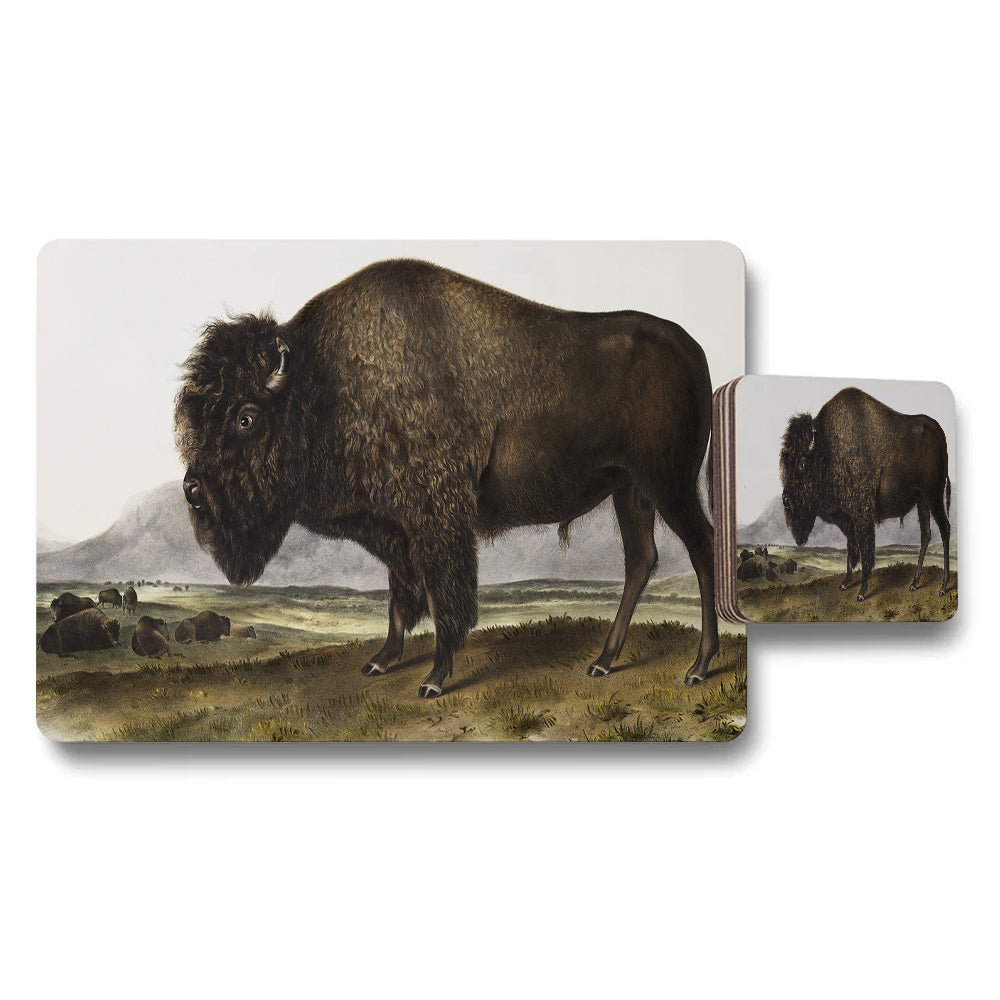 Bison Placemats And Coaster Set With Vintage Illustration