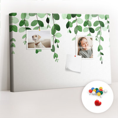 Antavis Cork Corkboard / Bulletin Board