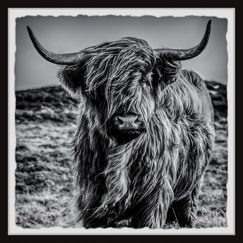 Hair Over Face - Single Picture Frame Print, 45cm H x 45cm W x 3.81cm D