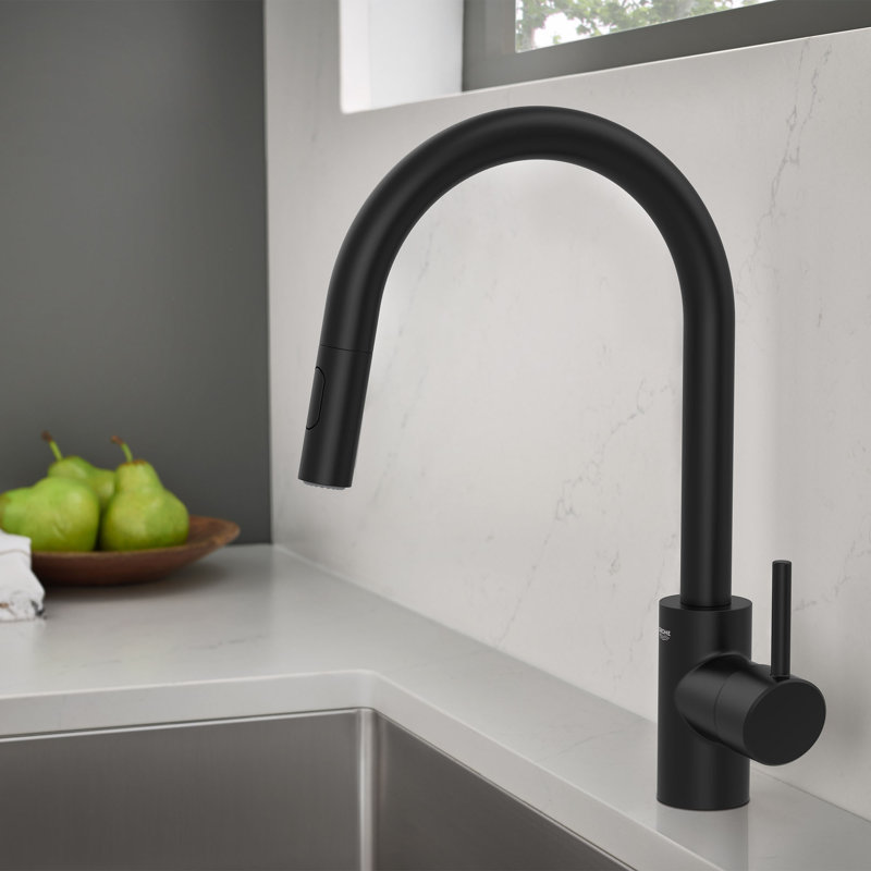 Concetto™ Single Handle Kitchen Faucet with Accessories, Does Not Apply, Matte Black