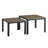 Amose Glass Top Nesting Coffee Table-1551560403