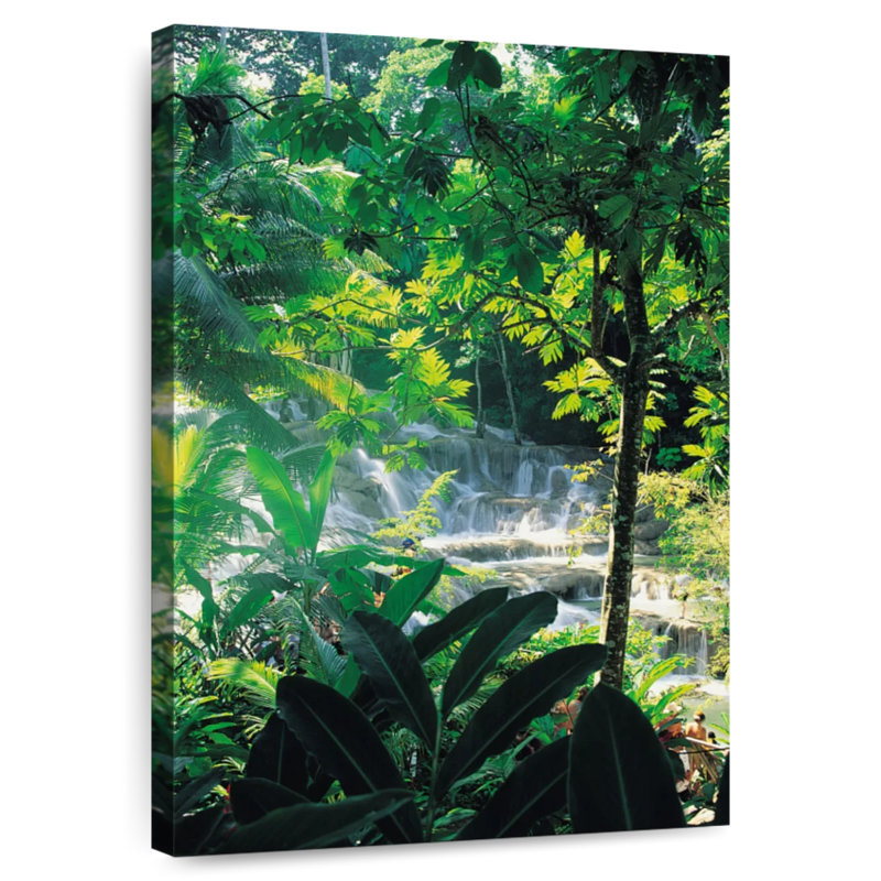 Cascades tropicales de Harnek Dunn, H 12 po x l 8 po