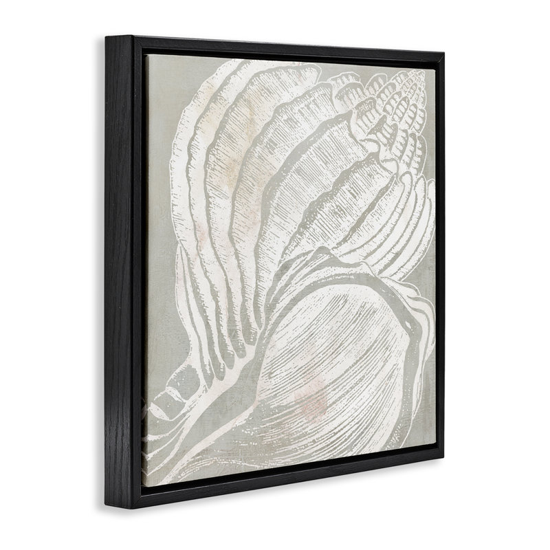 «Beige Conch» par Carol Robinson, Cadre flottant noir de jais, H 18 po x l 18 po