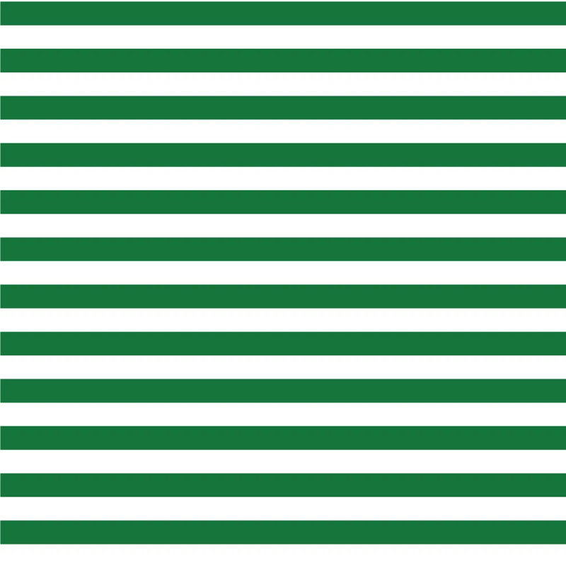 Mrs Paranjape Papers Versa Stripe Premium Matte 10' L x 24" W Wallpaper Roll, Signature Green, Non-pasted