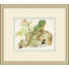 Naturalist Frog 1 Painting