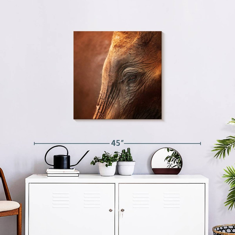 Brampt Elephant Lashes, 24" H x 24" W