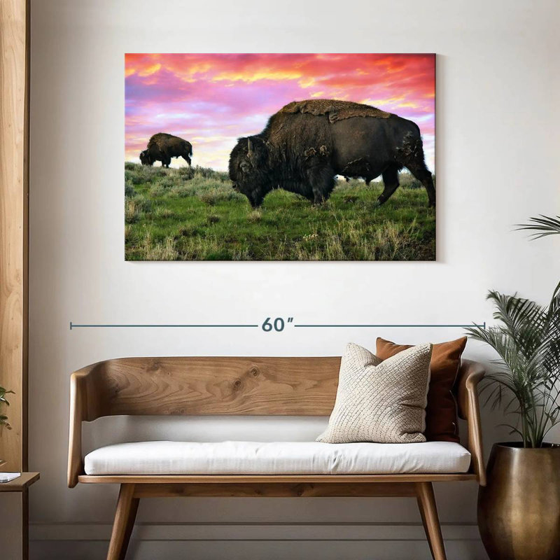 Bison et bison Brampt, H 30 po x l 45 po