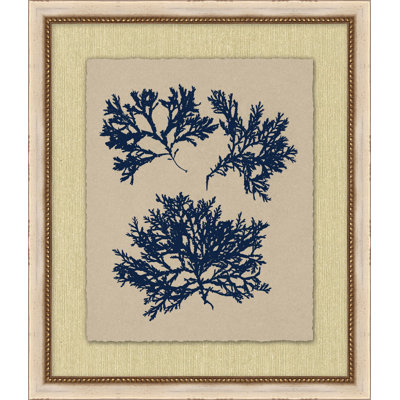Small Navy Sea Fan 3 Print