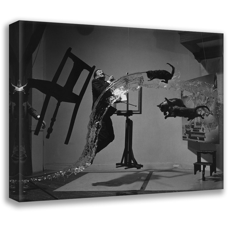 «Dali Atomicus» par Salvador Dali, toile tendue avec châssis, H 13 po x l 18 po