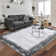 Machine Washable Rugs Bordered Modern Non-Slip Low Pile Rubber Backing Indoor Area Rug for Living Room Bedroom Kitchen Dining Room