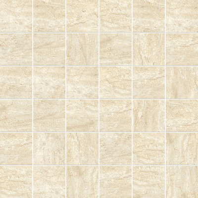2" x 2" Porcelain Grid Wall & Floor Tile