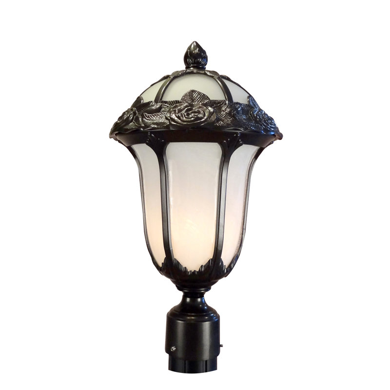 Morningside Drive Lantern Head, Black, Seedy