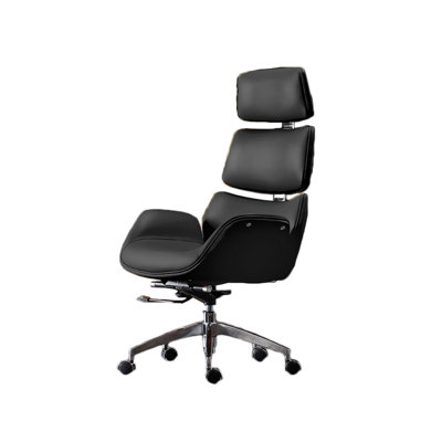 Chaise de bureau ergonomique avec dossier réglable