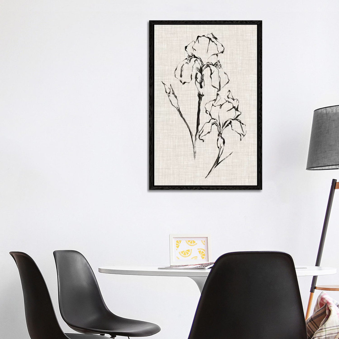 Floral Ink Study II von Ethan Harper - Galerieverpackte Leinwand Giclée auf Leinwand