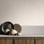 City Romance Collection Distressed Concrete Wallpaper Roll-1740920583