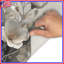 Tapis de bain fleurs blanches et beiges-438394868