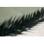 Area Rug in Basil-636249862