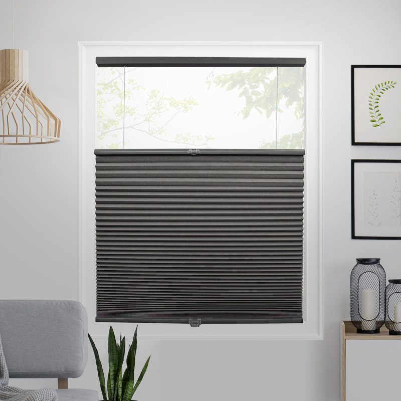 Cordless Blackout Cellular Shade, Dark Gray, 37.75"W x 64"L