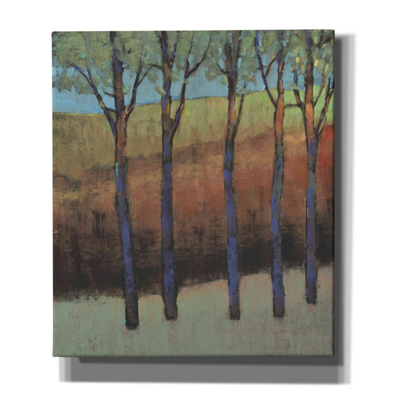 «Glimmer In The Forest II» par Tim O'toole, art mural sur toile, H 30 po x l 26 po x P 1,5 po