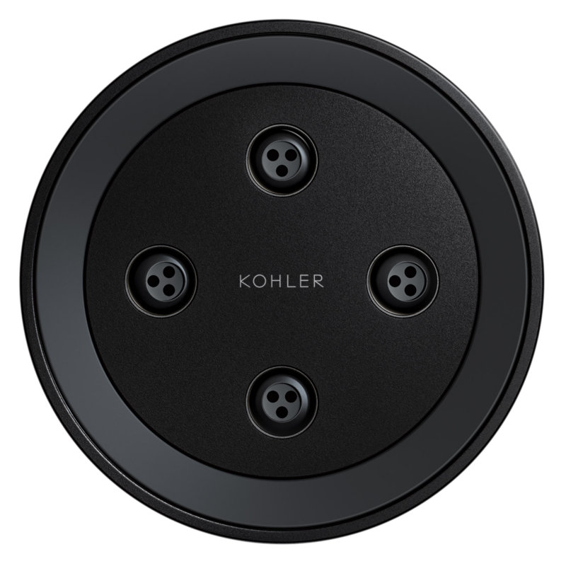Statement Round Adjustable 2.5 Gpm Body Spray, Matte Black