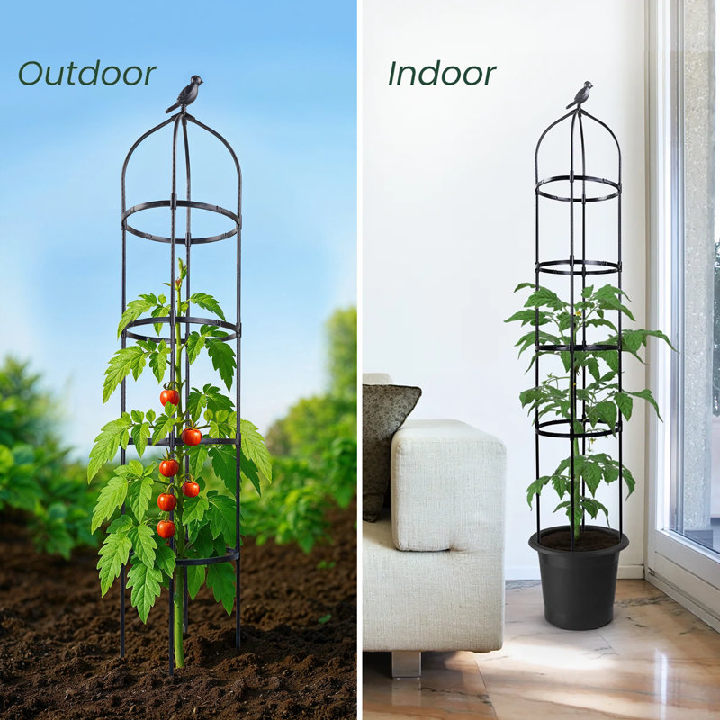 Lylo 70" H x 13" W Obelisk Trellis Plastic with Metal Pipe Core